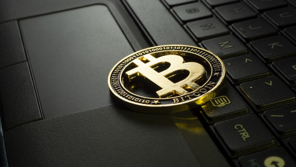 Solana Hits Record 167 Million Holders While Price Struggles Below $100